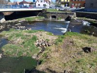 Zarybňování Litavky (2)